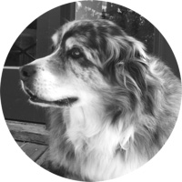 Rabbit0circle Rabbit0circle